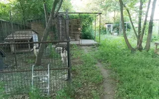 Vanzare casa conslidata Silistea Snagovului Com. Gruiu, Ilfov Snagov - Poză 16