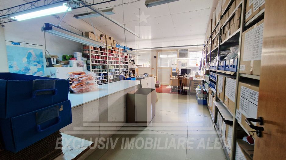 Spatiu industrial de inchiriat in Sebes - Poză 7