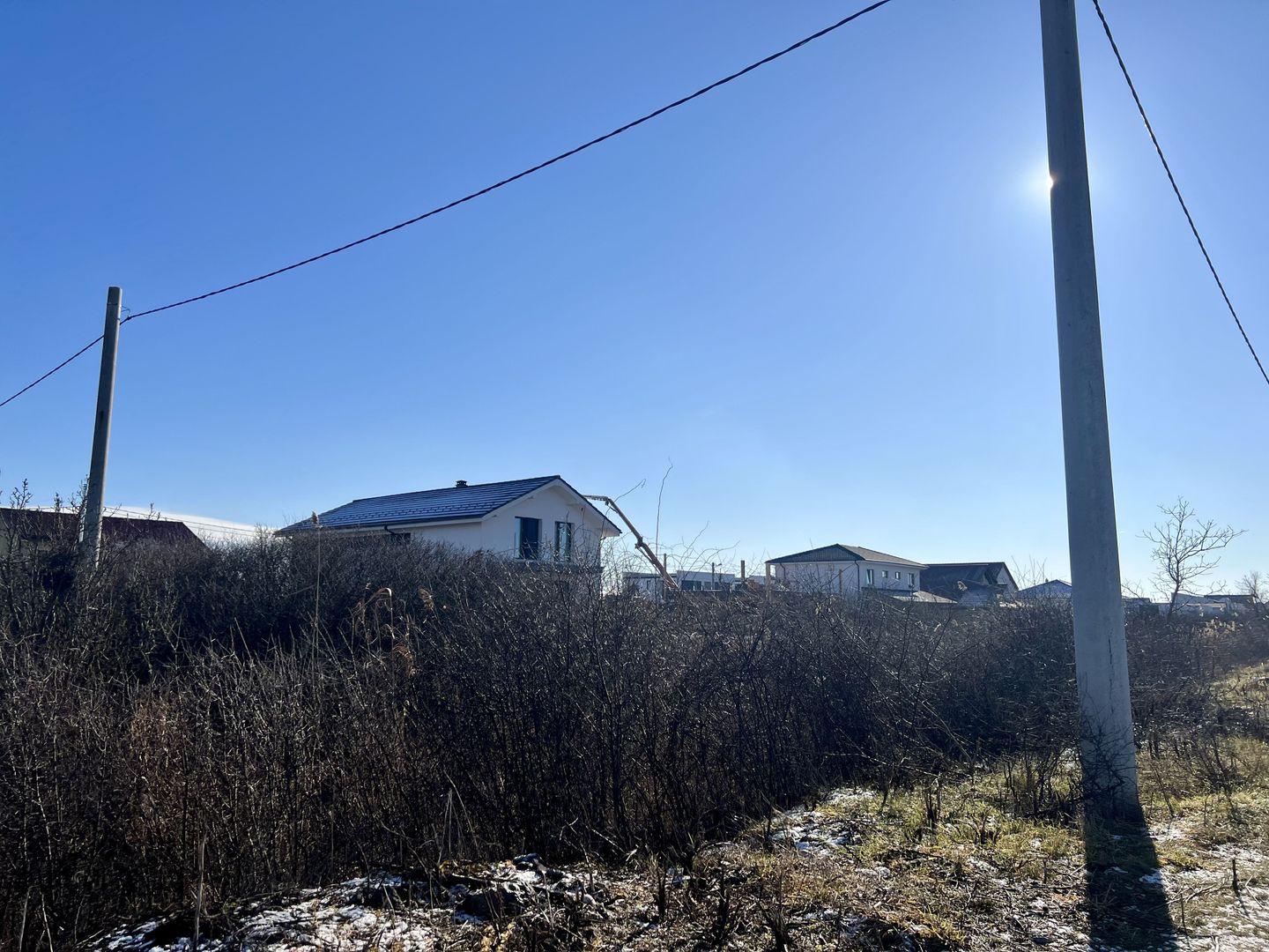 TEREN MOSNITA VECHE - Poză 2