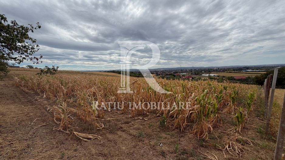 Teren intravilan 1.770 mp | Uileacu de Criș | Tileagd - Poză 3