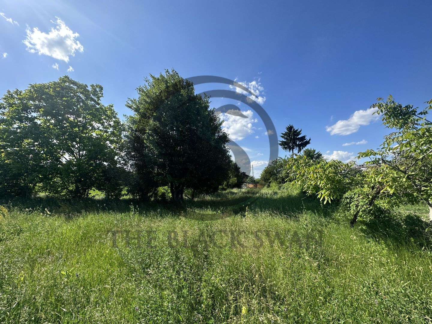 Teren Vanzare 11.000 MP Ghirdoveni | Comision 0% - Poză 13