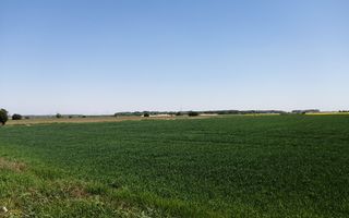 Teren intravilan 5114 mp in comuna 1 Decembrie - Ilfov - Poză 1