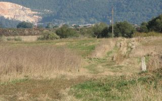 Codlea teren constructii industriale sau logistice 8 ha pana la 24 Ha - Poză 14