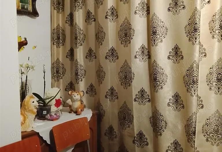 Apartament 1 camera Biziasului - Poză 8