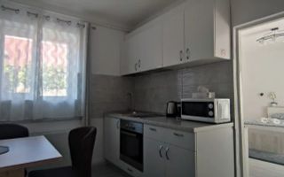 Casa 1 camera | Gradina 120 MP | Renovata | Lazaret - Poză 1