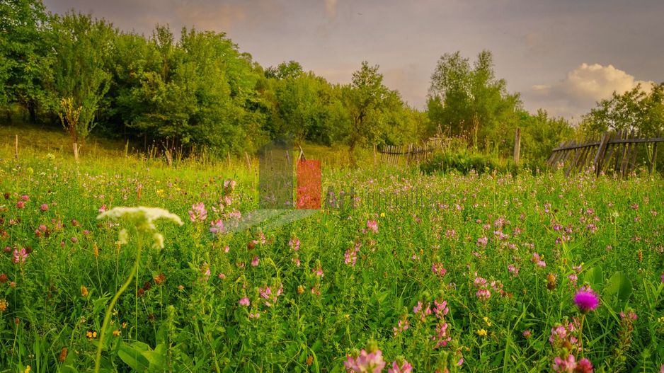 Teren intravilan Boteni Arges - Poză 3