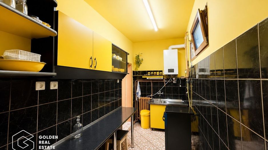 Casa cu teren 688 mp, 2 corpuri de cladire, Parneava - Poză 16