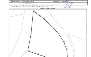 TEREN SALCEA I SUCEAVA I LOC DE CASA I 17Ari I 53.500Euro - Poză 2