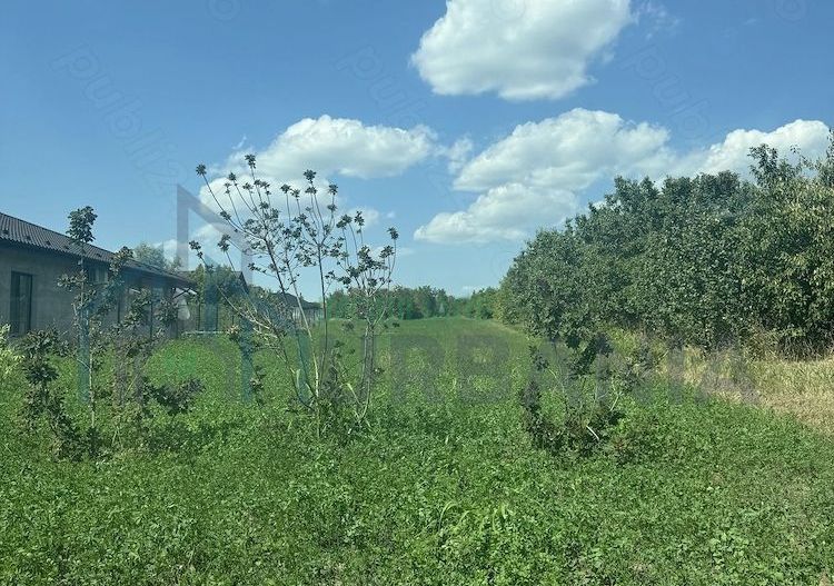 Teren intravilan Aroneanu - Poză 5