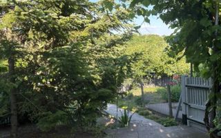 Gospodarie traditionala in localitatea MÎNJEȘTI, la 10 km de Vaslui; - Poză 5