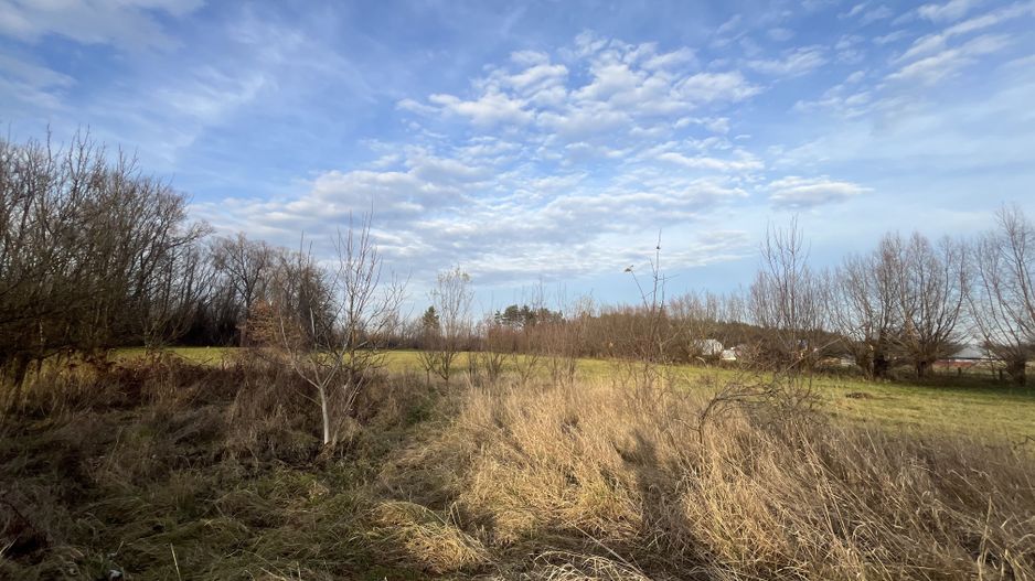 TEREN INTRAVILAN GENEROS | 72 ARI | GALANESTI - Poză 6