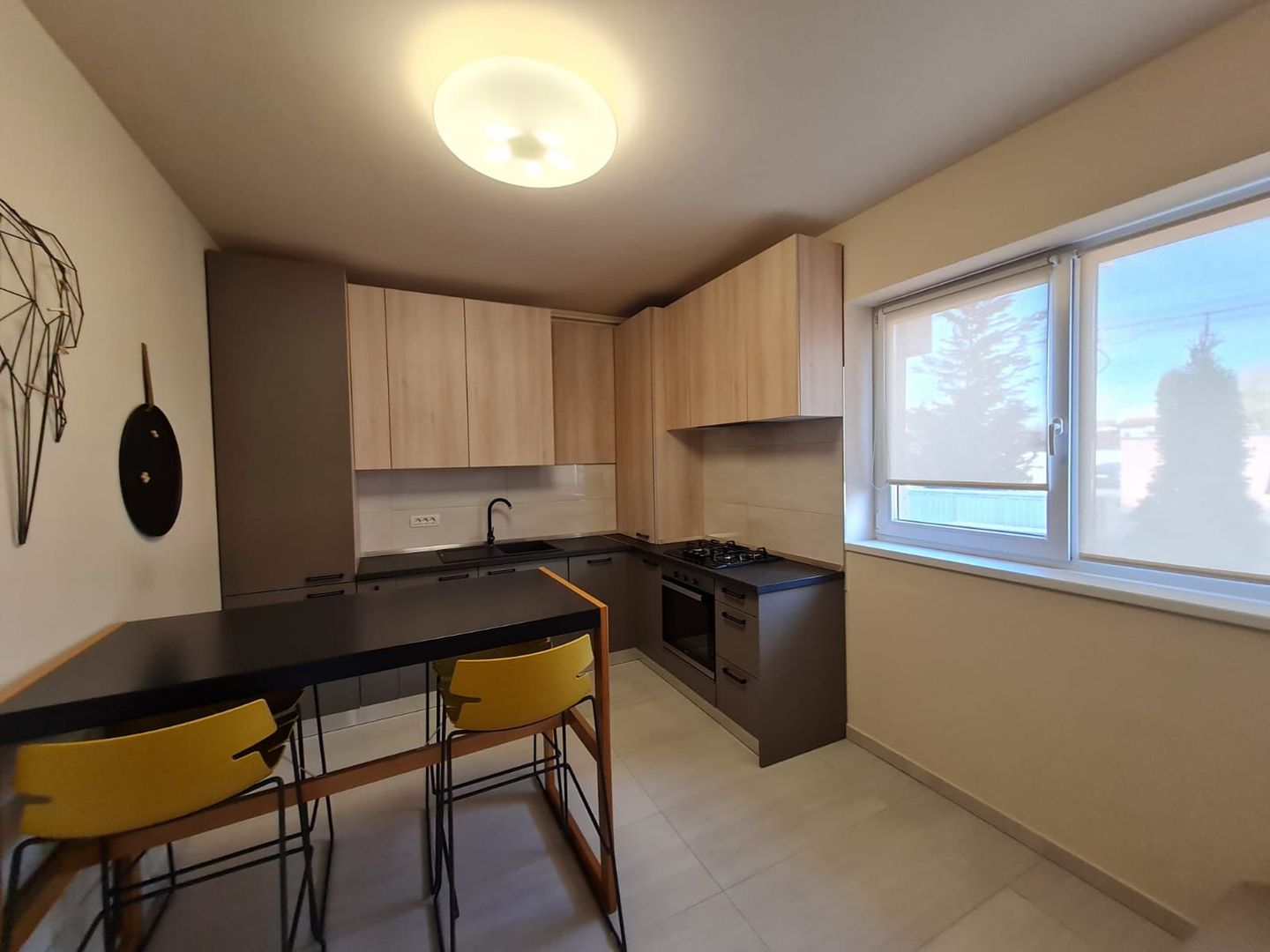 Apartament 1 camera cu grădina - Poză 8