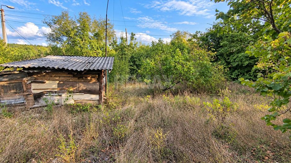 LOT POMICOL DE VÂNZARE – 5,7 ARI | IALOVENI  Î.P. „Floare-Carpet - Poză 9
