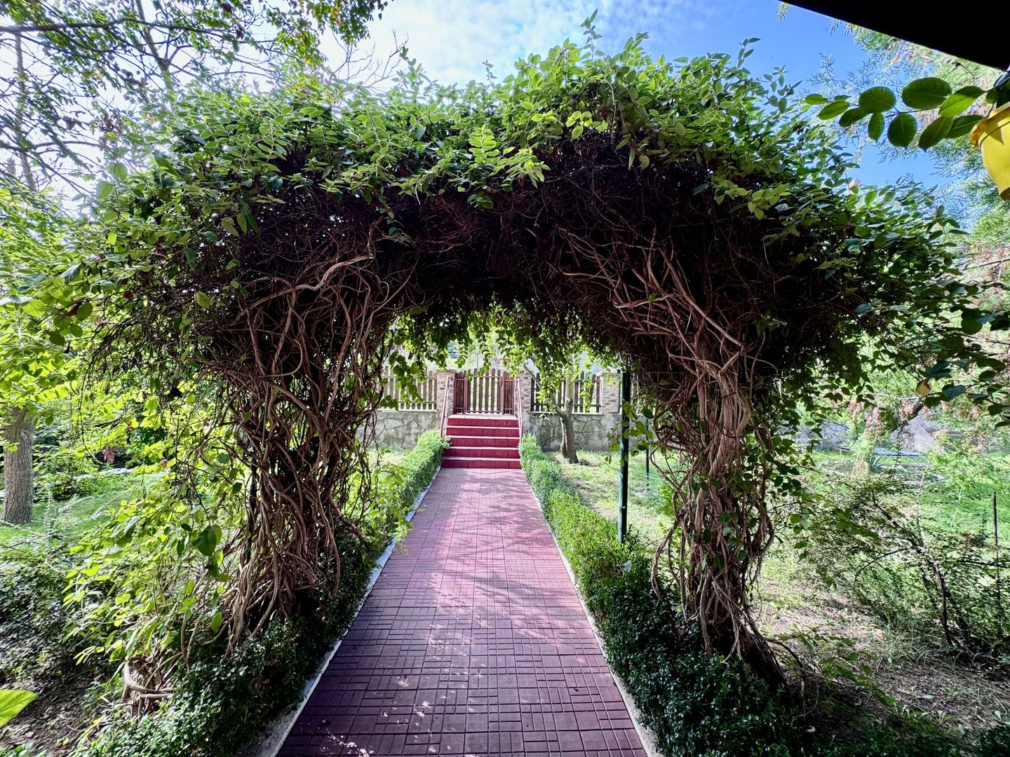 Hotel 20 camere Delta Dunarii 50 m deschidere teren 6000 mp acces auto - Poză 68