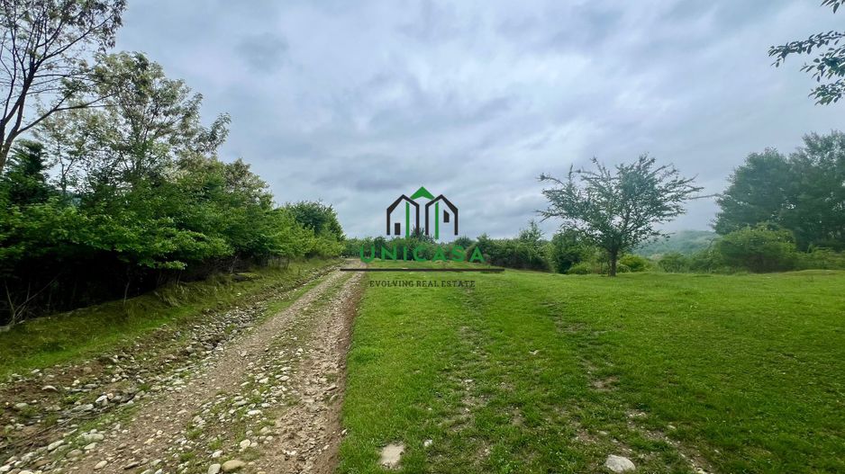 Teren 3507 mp/ Seaca/Calimanesti - Poză 3