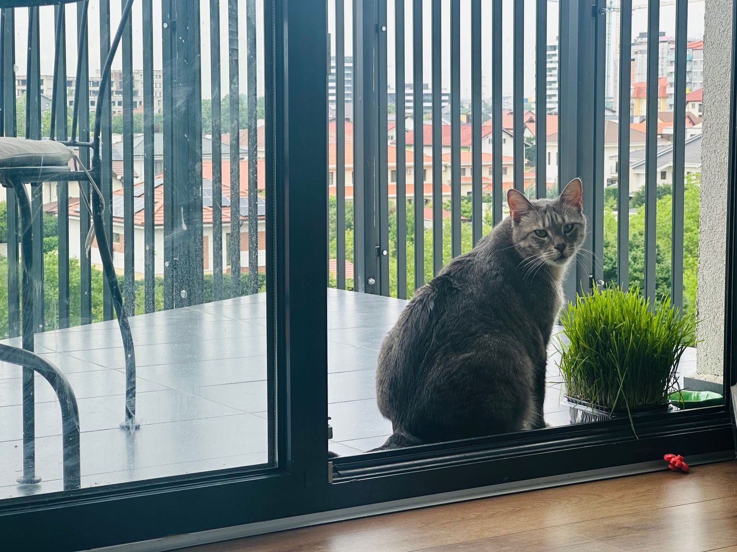 2 camere - NORD - boxa + loc parcare - Poză 3