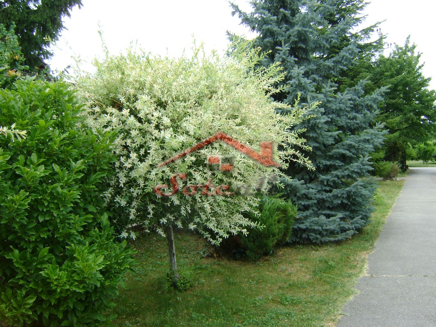 Pensiune turistică de vânzare – Cornu, Valea Prahovei - Poză 27