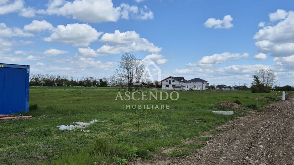 Teren intravilan 704 mp – Siliștea Snagovului | Lângă Pădurea Snagov - Poză 5