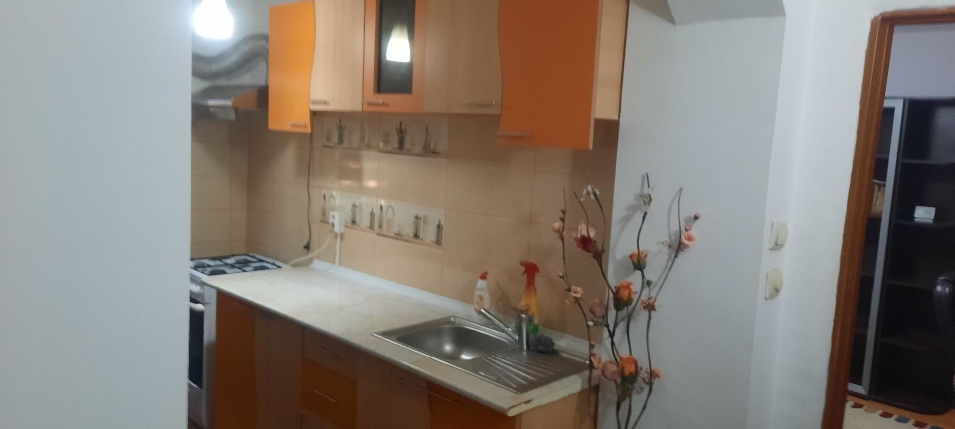 Apartament 2 camere- Craiovita Noua, Scoala 33 - Poză 2