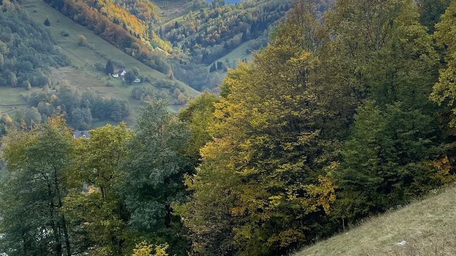 Teren extravilan cu priveliste catre Bucegi – Moieciu de Jos 4.700 mp - Poză 3