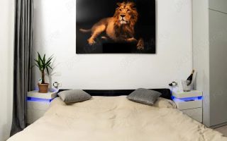 De inchiriat apartament cu 2 camere LUX , Parcul Carol - Poză 7