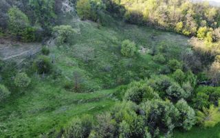 Vand teren in Poiana Ampoiului comuna Metes jud. Alba - Poză 3