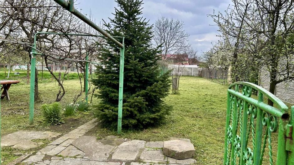 TEREN GENEROS 1000 MP - Poză 4