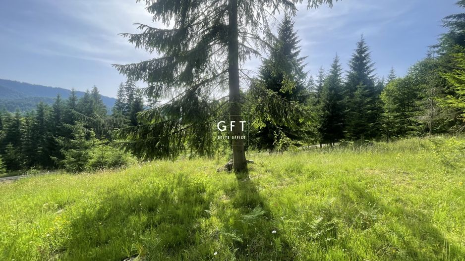 Teren de vanzare Colibita ! EXCLUSIVITATE! - Poză 3