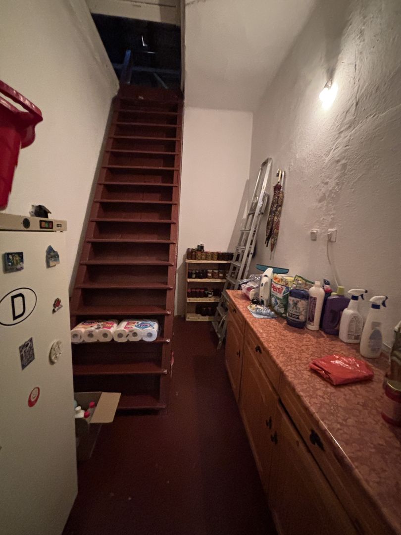 Casa cu teren și grădina zona Bogdanestilor - Poză 21