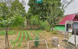 Căsuță de vacanță pentru pescari în Lipova - Poză 11
