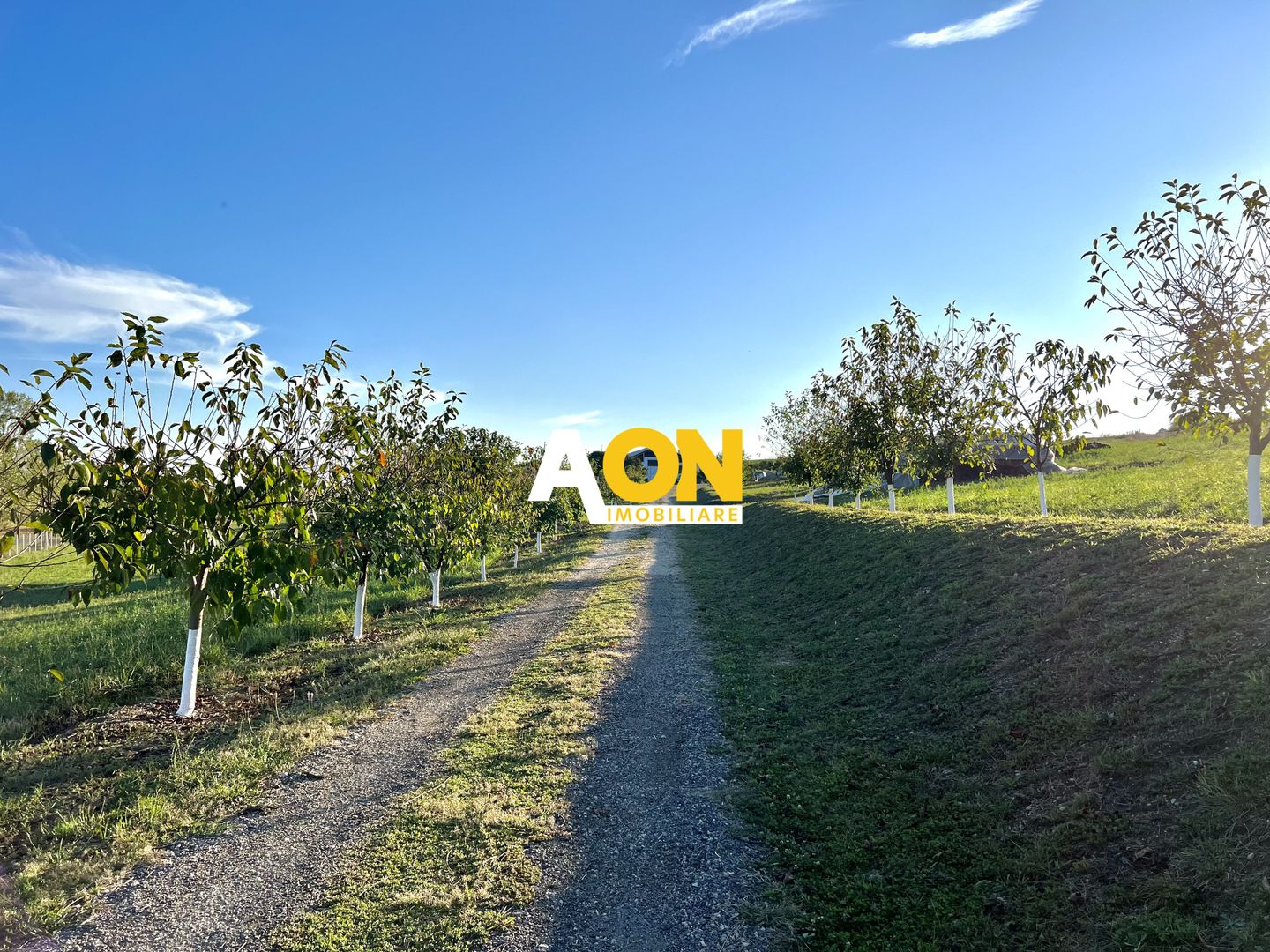 Ferma de vanzare cu 550MP utili si 27.500MP teren la asfalt - Poză 2