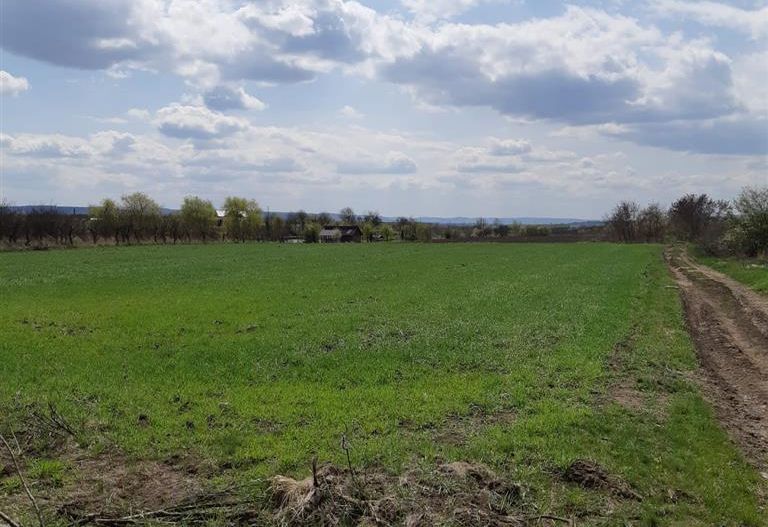 Teren extravilan 5.900mp,langa lac,acces dublu,apreciabil potential,Breaza,Mures - Poză 3