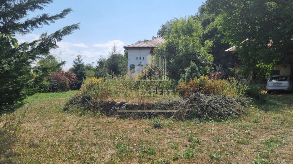 CONAC BEREVOIESTI CU TEREN 8670 MP INTRAVILAN, PRET 200000 EURO - Poză 8