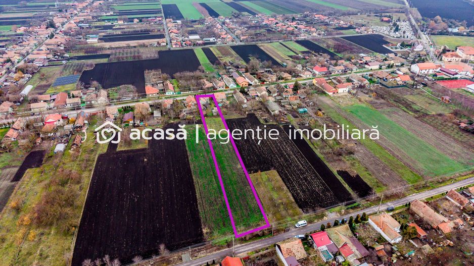 Casă + livadă tânără + curte 2.500 mp în Dorobanți - Poză 10
