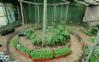 Casa | 9 camere | Garaj | Piscina | Teren 3.000 mp | Comision 0% - Poză 26