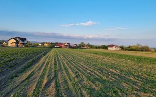 Teren intravila Ilișești - Poză 1