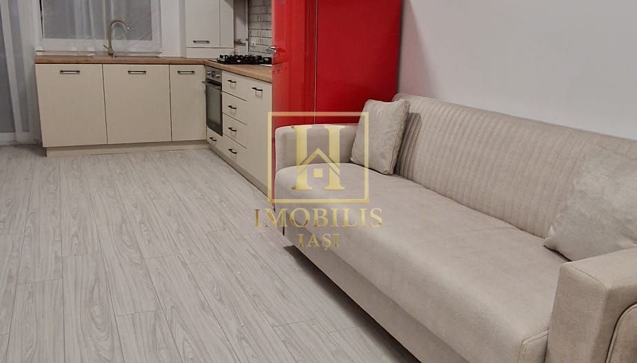 Apartament 2 camere open space 42 mp Bucium 350 euro - Poză 6