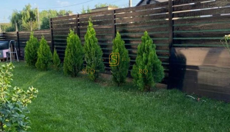 Vila individuala, teren 340 mp, Strada Tuberozelor, Comuna Berceni - Poză 4