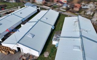 COMISION 0% - HALE Calinesti Arges - Poză 14