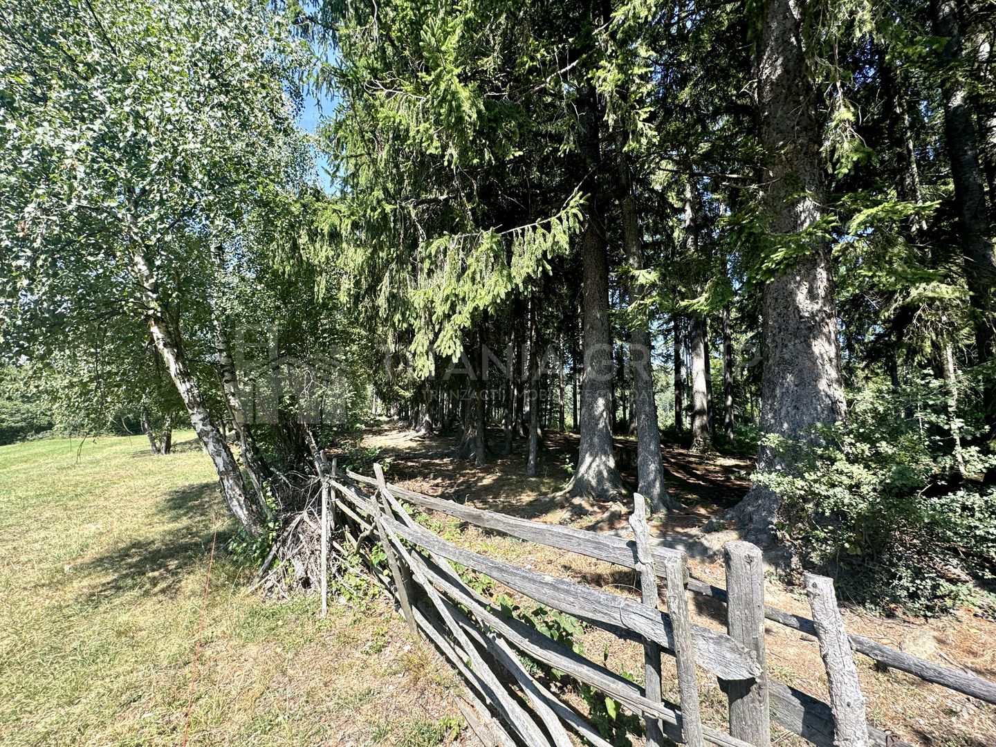 Platou montan, 6631 mp intravilan, electricitate,  langa pădure - Poză 10