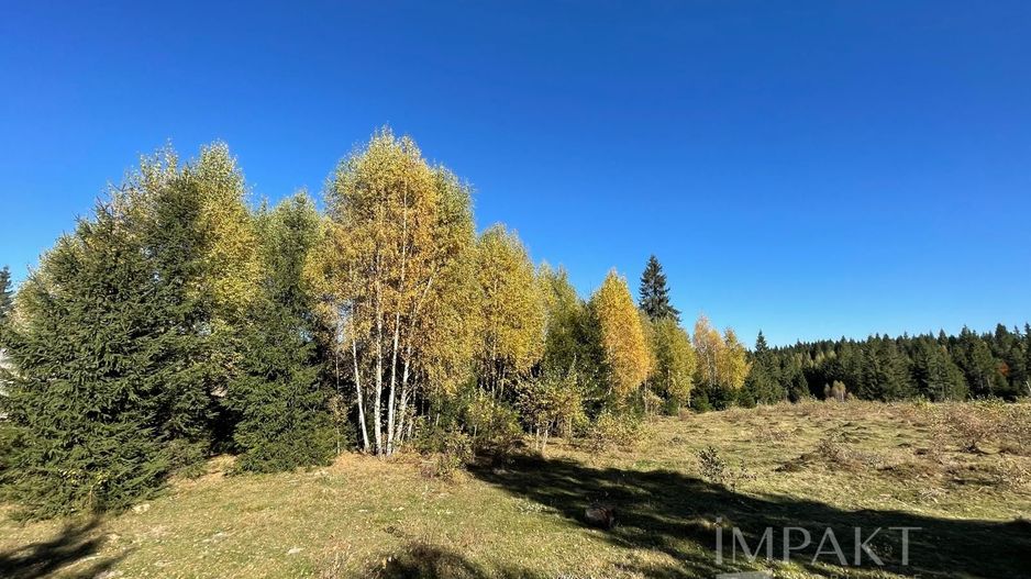 Teren intravilan de 2001 mp în Calatele Padure, comuna Calatele! - Poză 3