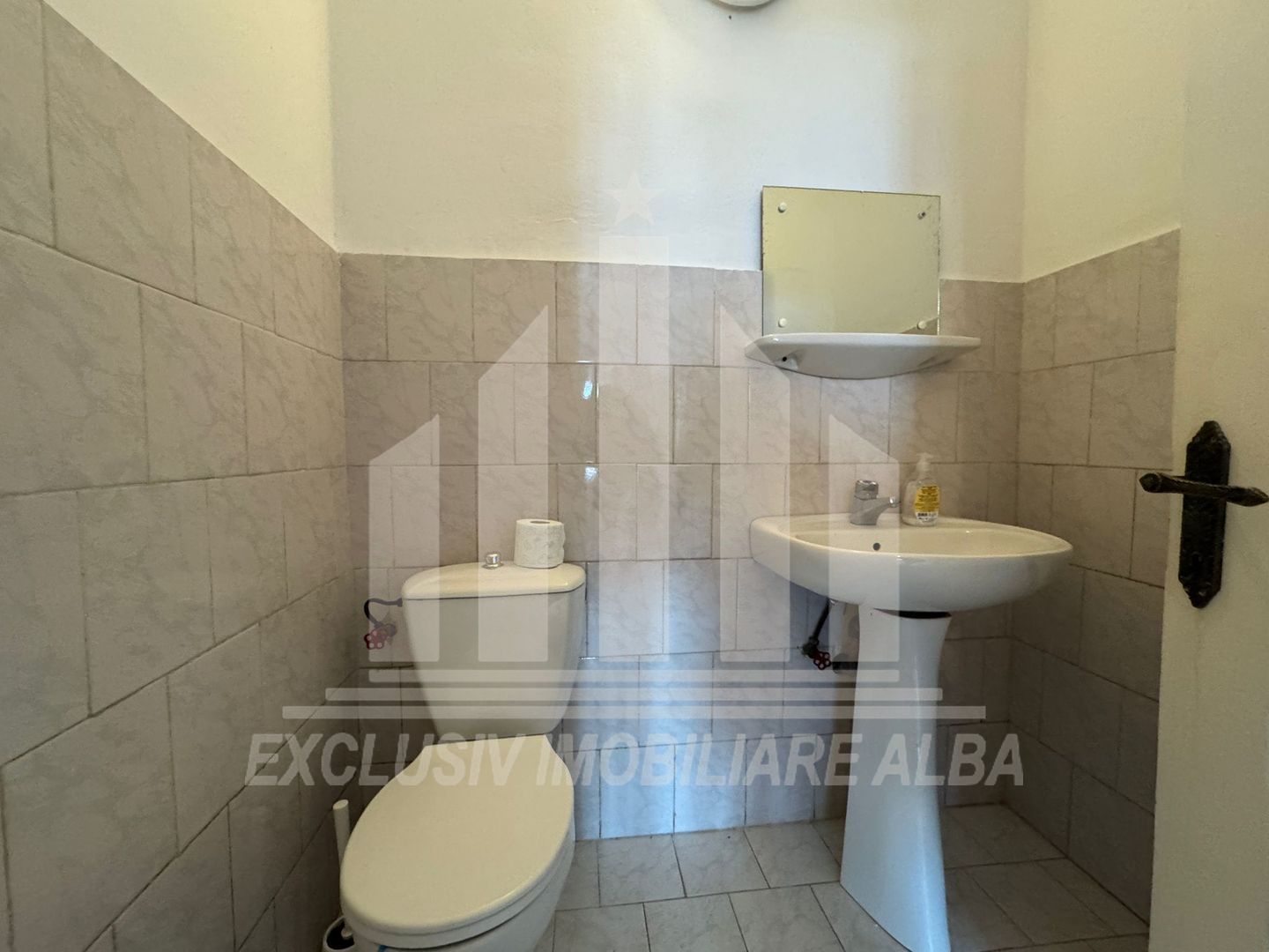 Casa individuala | De inchiriat | 320 mp | 750 mp teren | Cetate - Poză 4