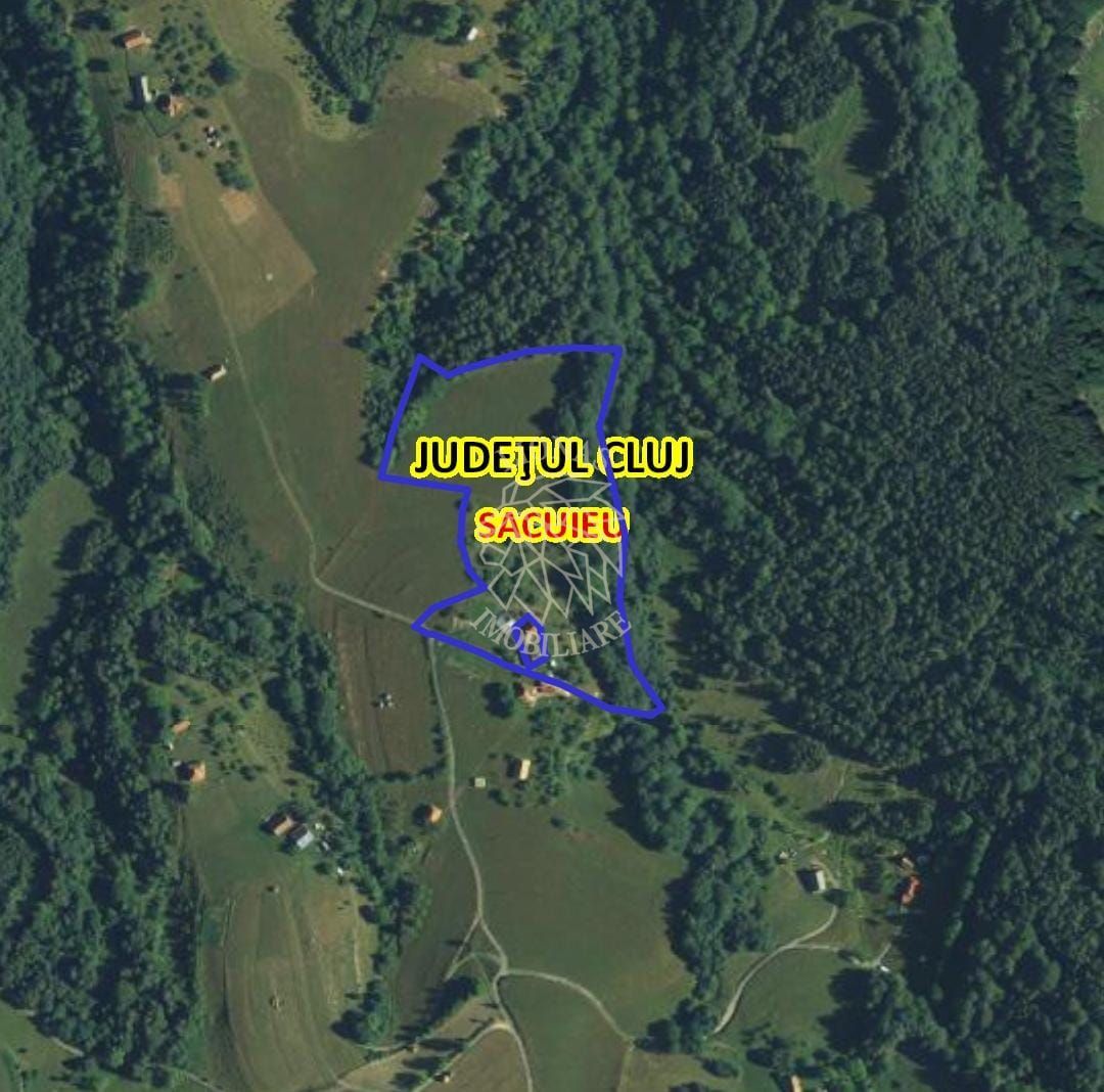 COMISION 0 20.000 MP TEREN EXTRAVILAN CU PADURE ZONA TURISTICA SACUIEU VLADEASA - Poză 6