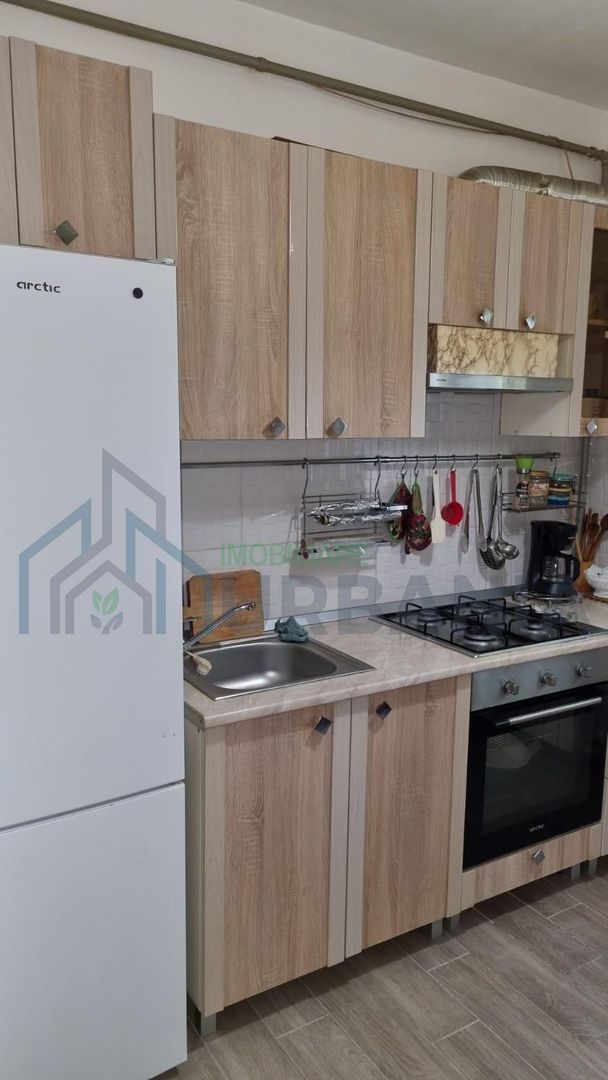 Apartament confort 1 cameră de închiriat în Valea Adanca - Poză 4