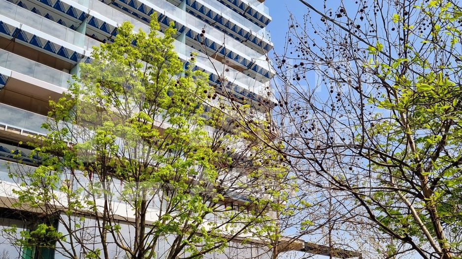 Vânzare apartamente 3-4 camere, One Herăstrău Vista, București - Poză 7