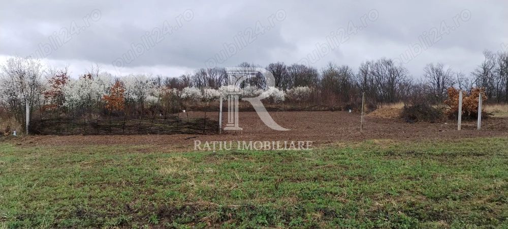 Teren intravilan 888 mp | Front 24 ml | Paleu - Poză 1
