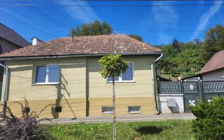 Casa individuala 3 camere renovata recent teren 803 mp in Agnita - Poză 1
