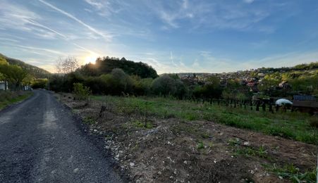 Teren la poalele Cetății Cisnadioarei de vânzare/1250 mp