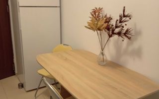 Apartament cu 1 cameră decomandat, mobilat și utilat, de închiriat în Iași - Poză 3