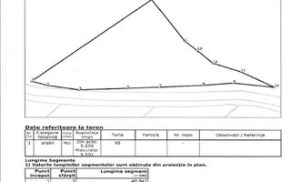 Teren extravilan-Dealul Sibiului - Poză 7